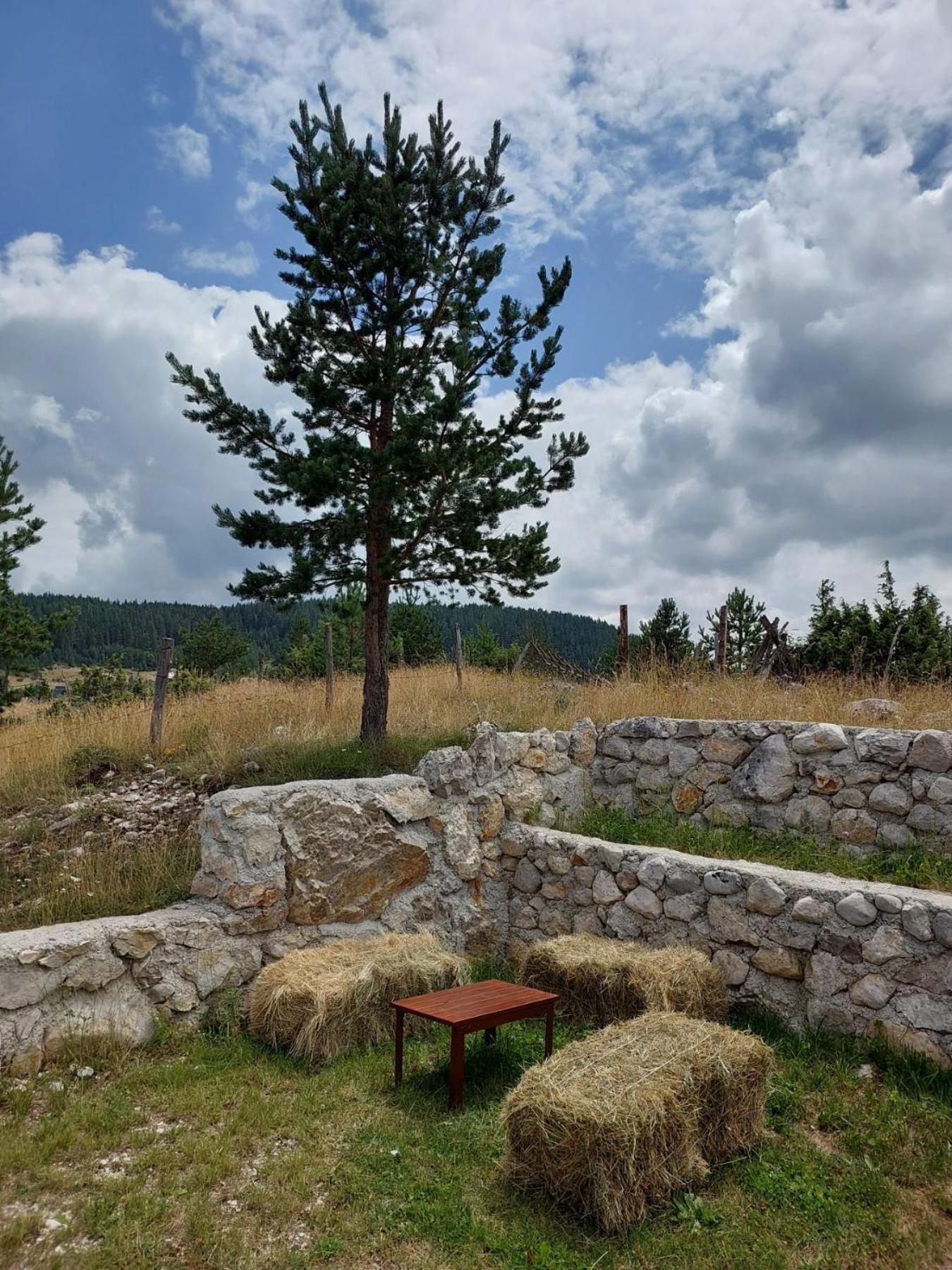 Mountain Peace Cottage Žabljak Εξωτερικό φωτογραφία